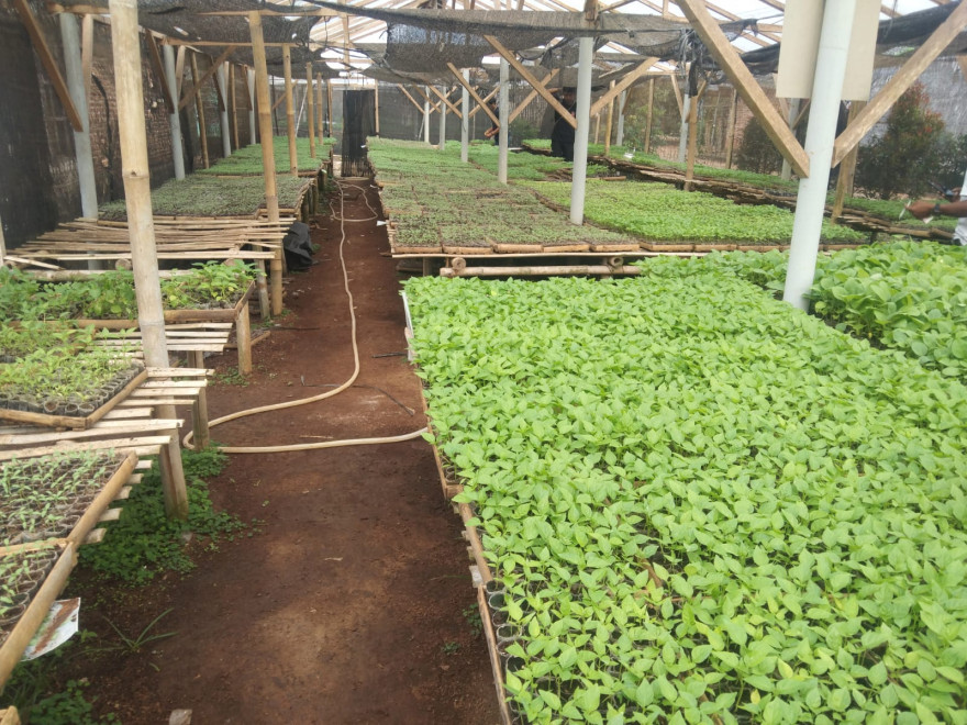 K3W Tiyuh Mekar Jaya, kecamatan gunung agung